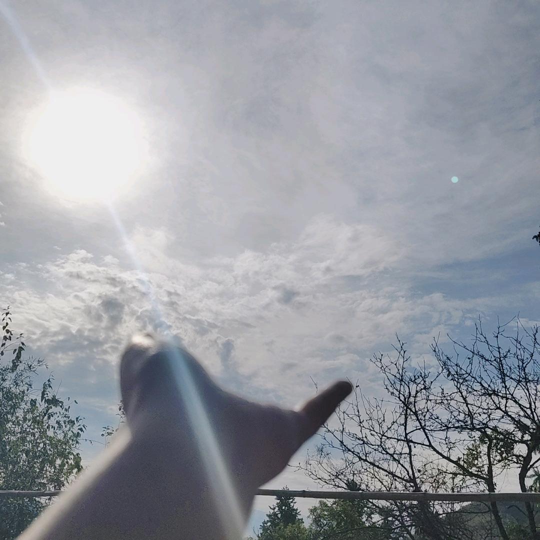 Miss陈²⁰²⁵