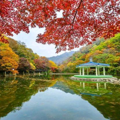 🦋ꦿꦼ淸᭄💖風᭄🕊️꧔ꦿ