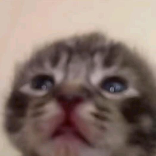 我的生活像条尸体