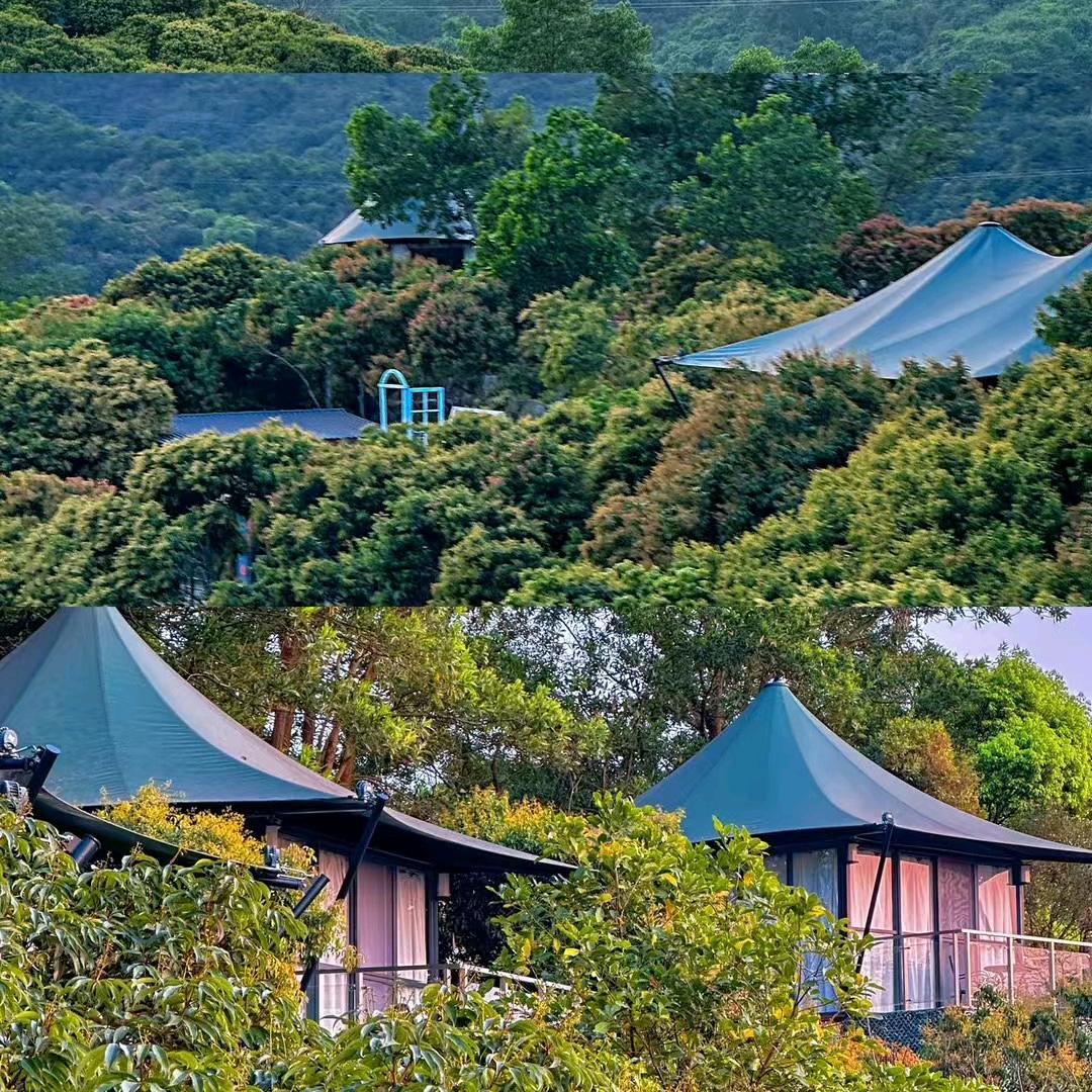 梧桐森林秘境营地