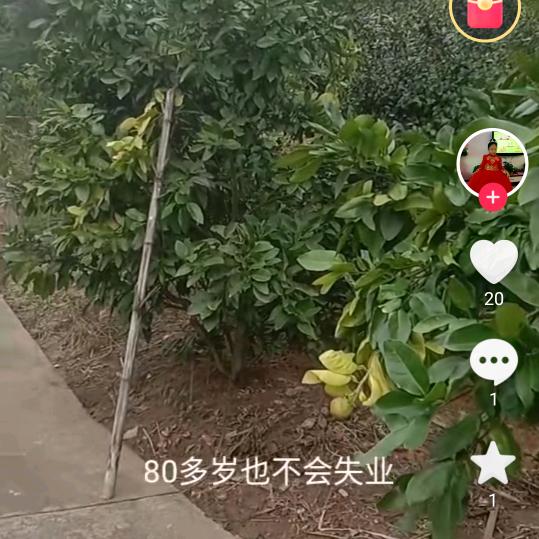 我念