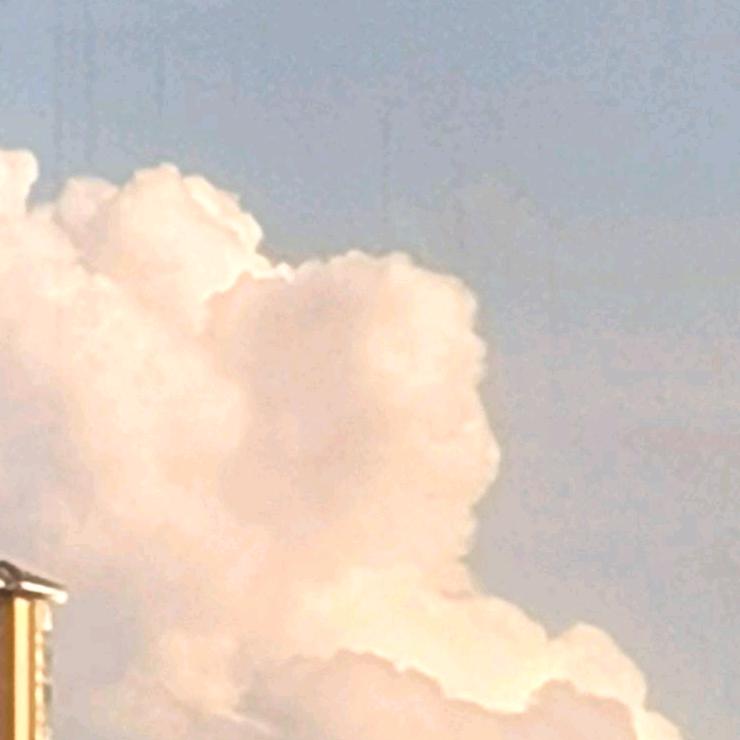 住在菠萝屋的小海绵