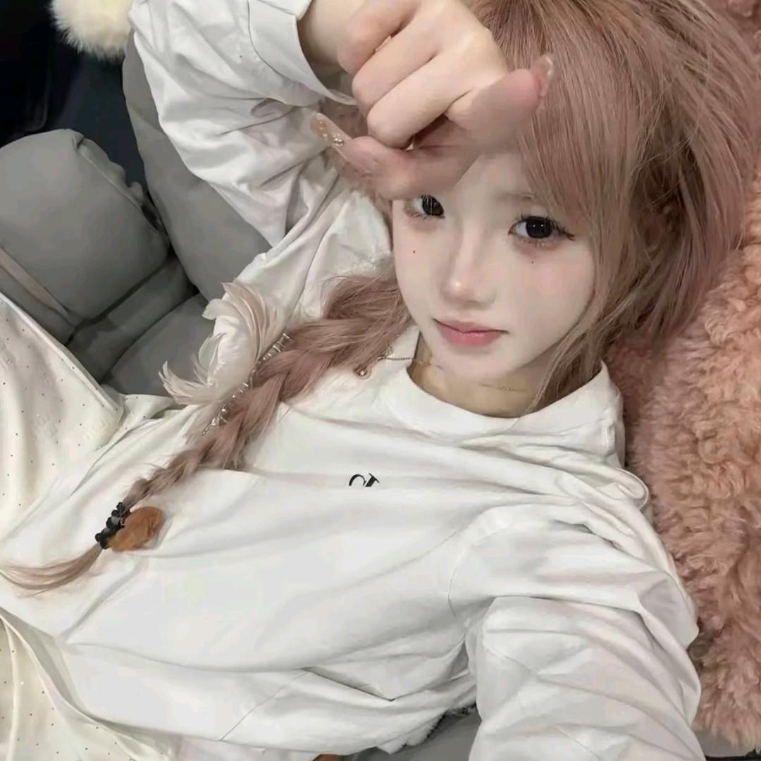 懒猫