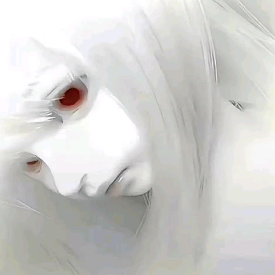 小霖🐟
