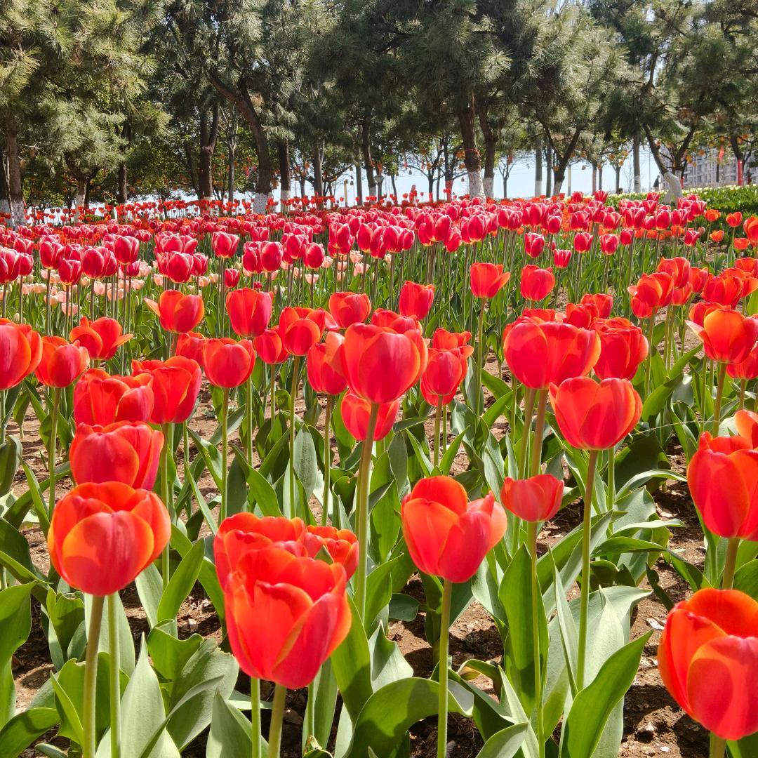 锦鸿集团大龄工企业。