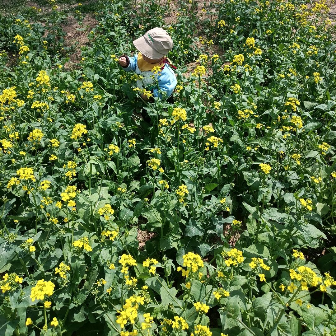 耿老师