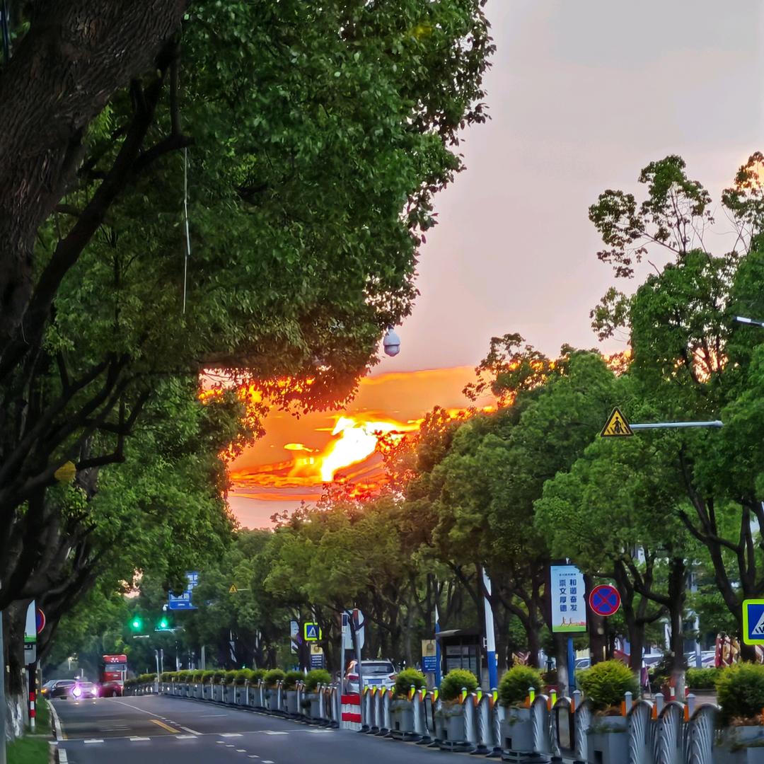 也许……