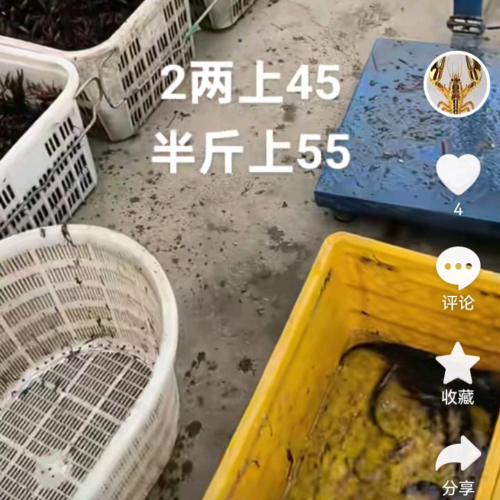 全国户外同少