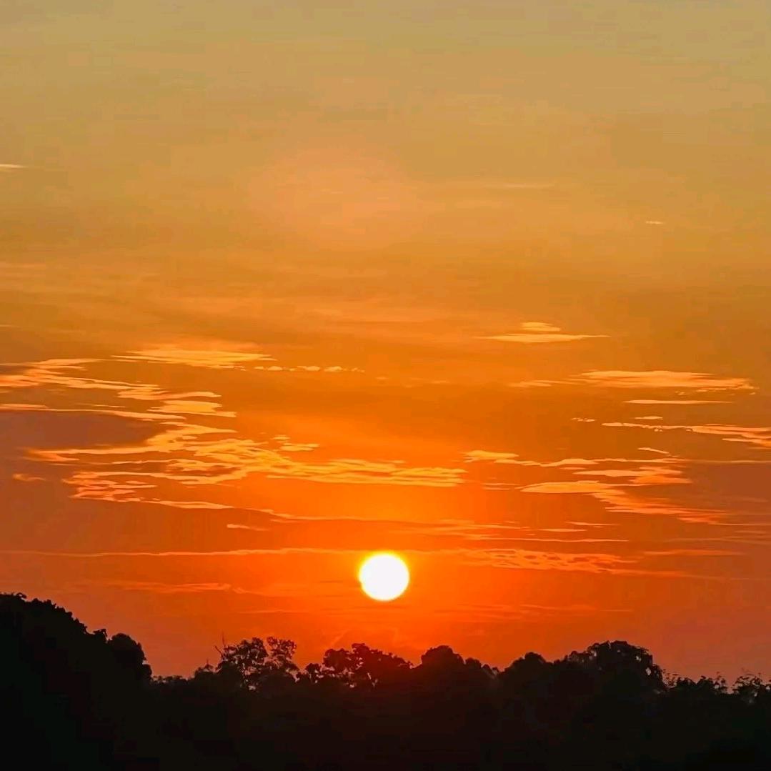 糊涂ꦿ໊又何妨🍺