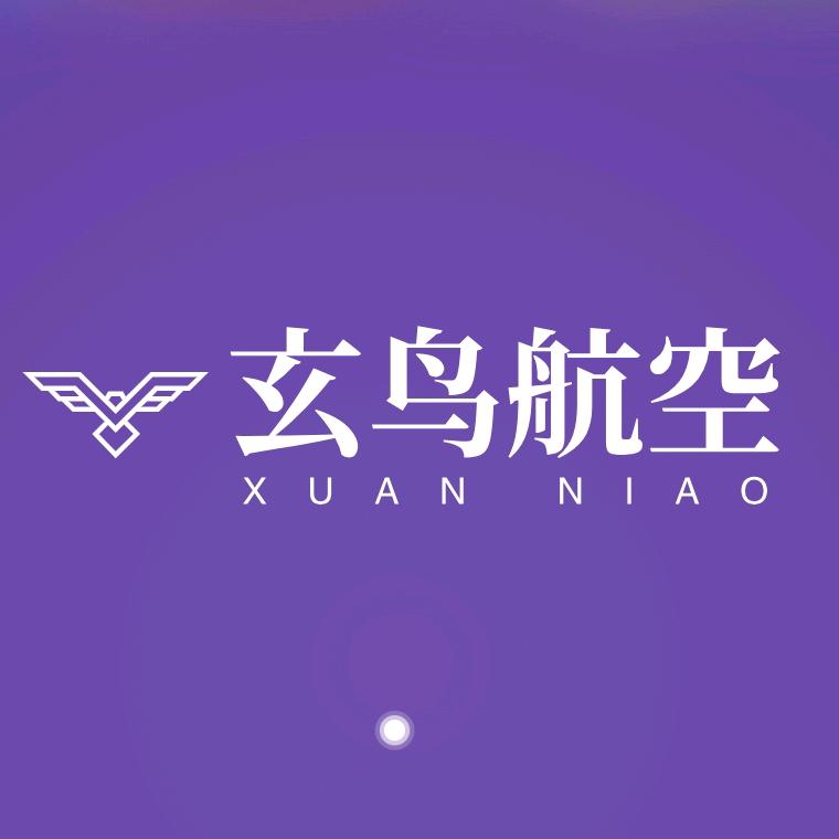 玄鸟无人机培训