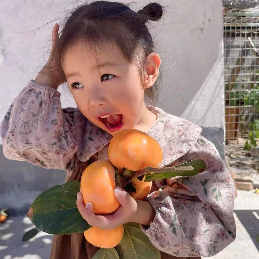 正儿八经一家人