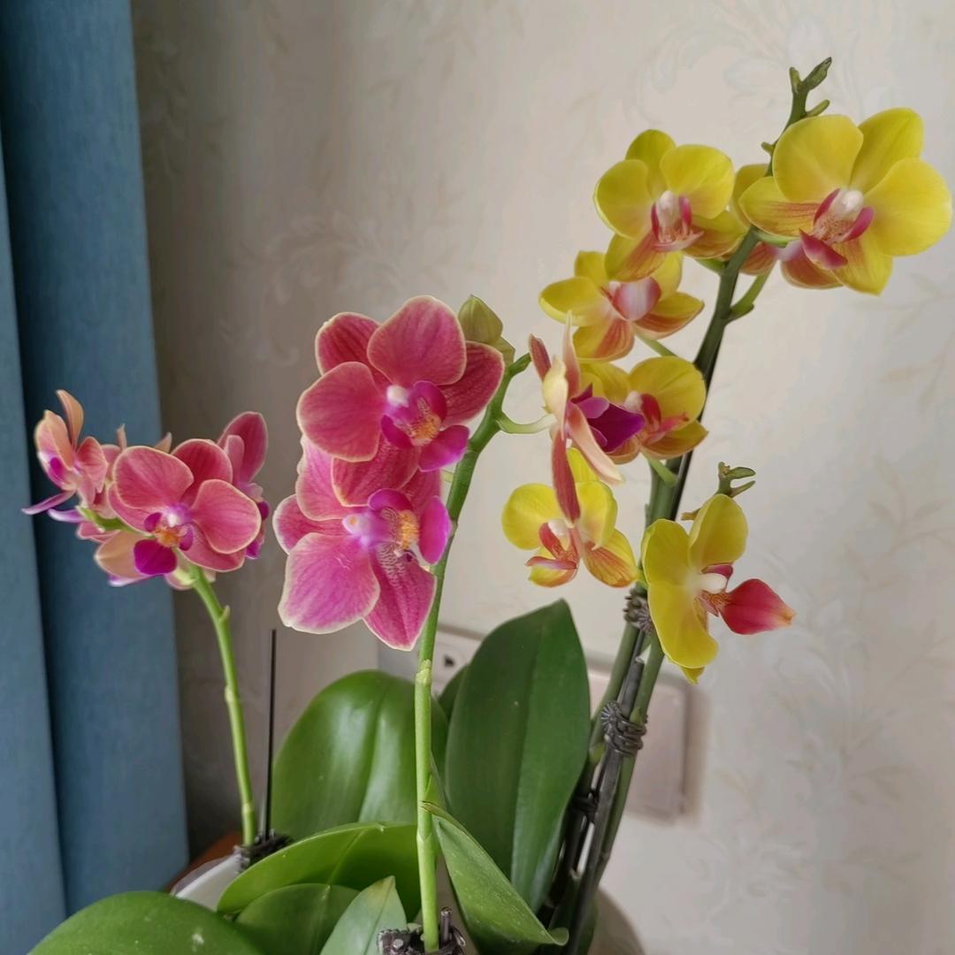 岁月静好