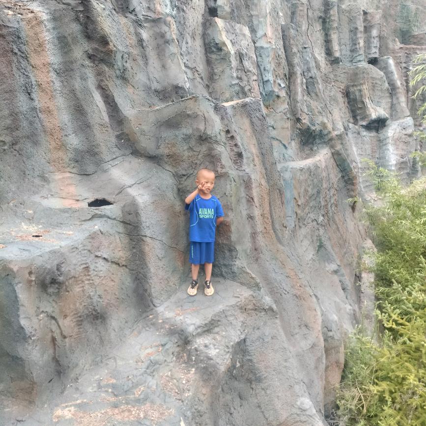 哥不坏单很帅42415008