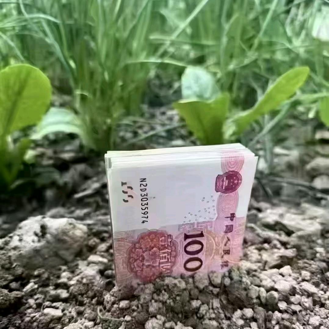 真心只给意中人