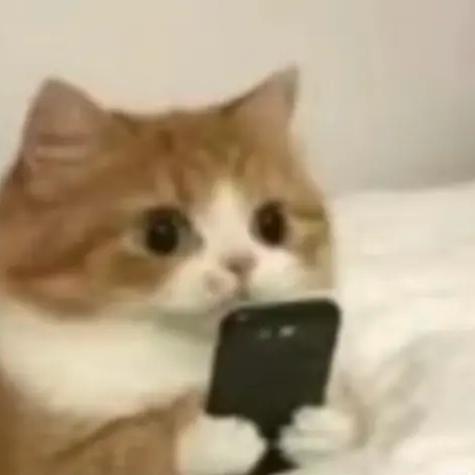 虾仁不眨眼‘