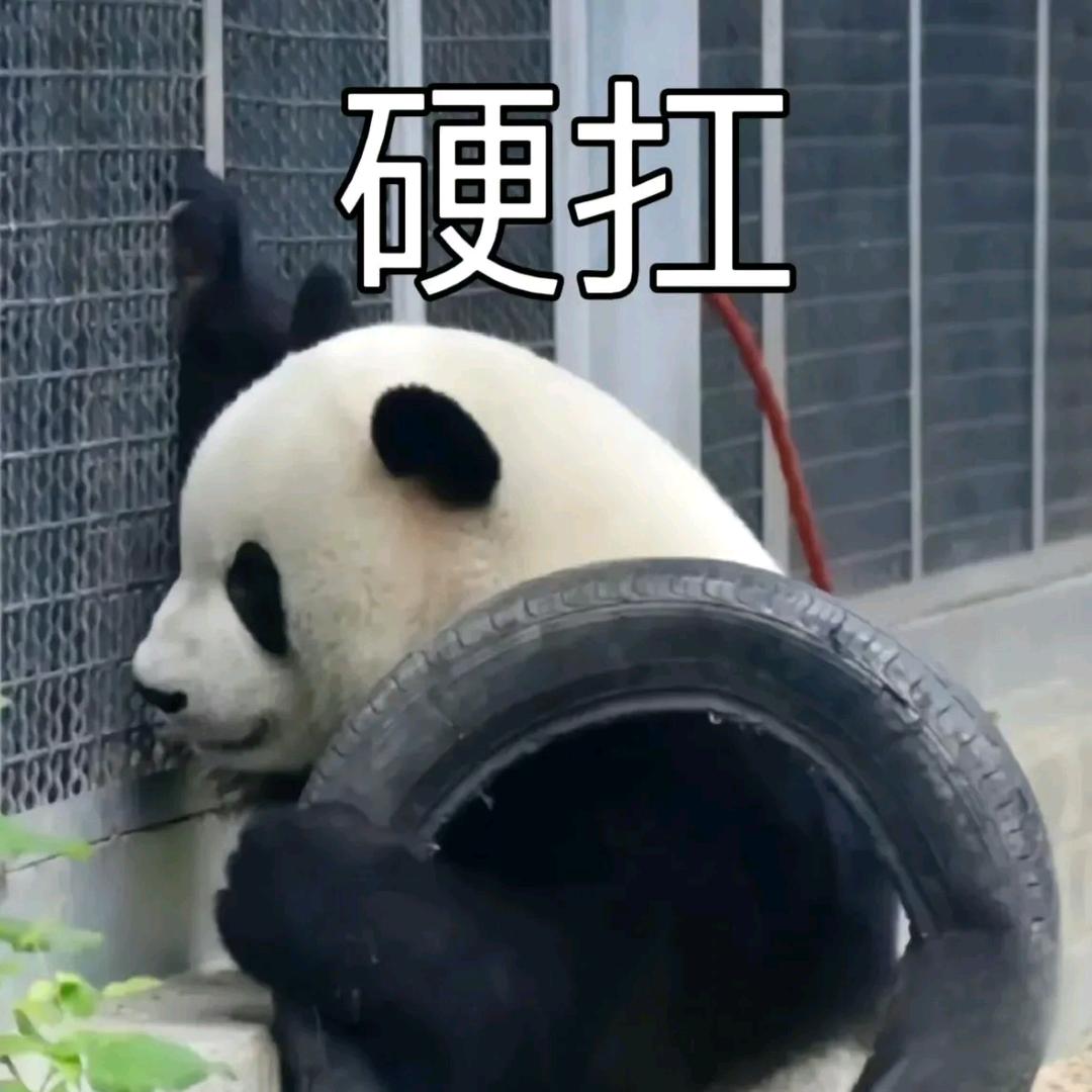 加油旅行者😘