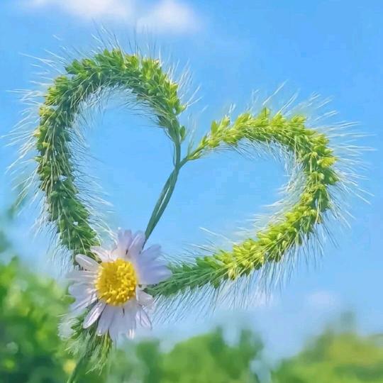 余生(^.^)随💕