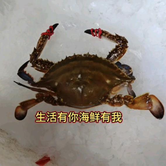 海福鲜生鲜