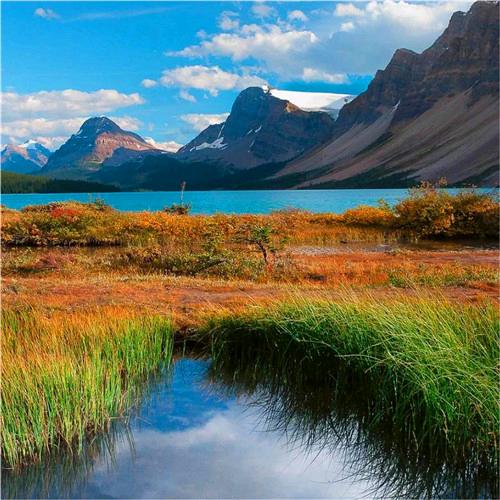 か往事♛不随风　　　　　╲