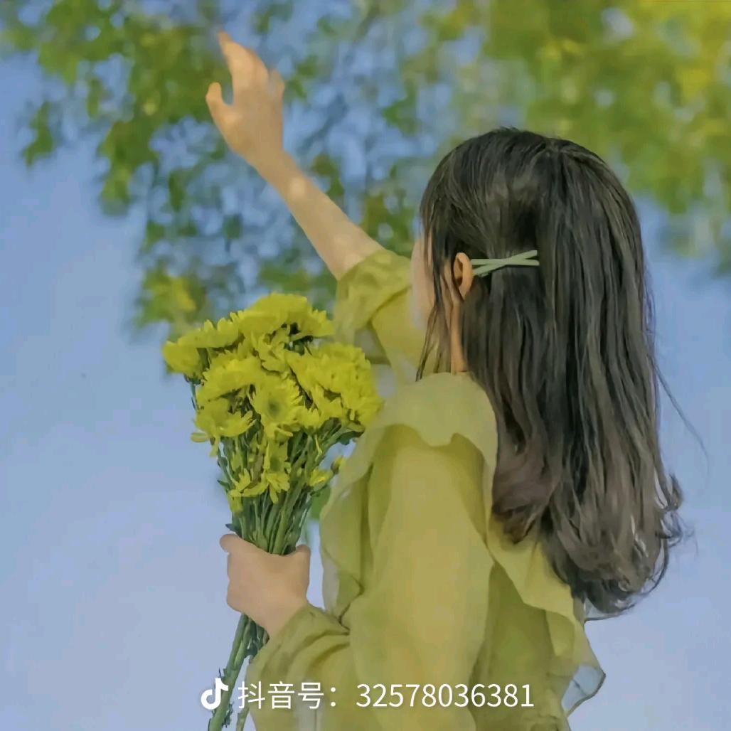 杨杨惠好物