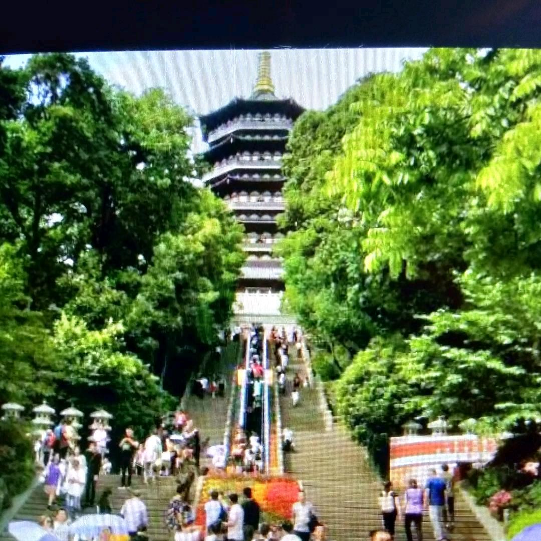荣哥