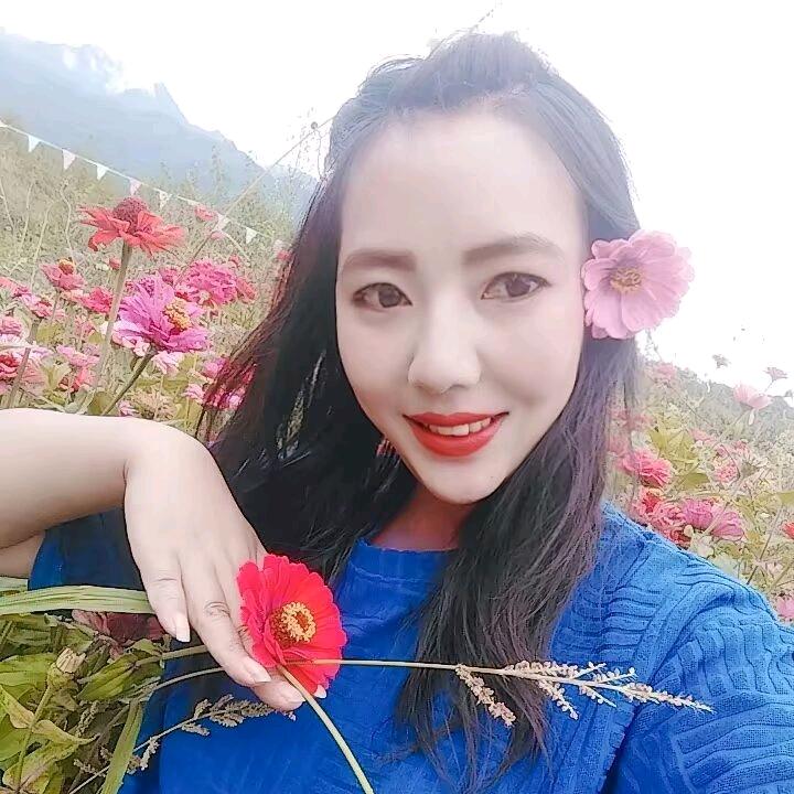 七秒记忆