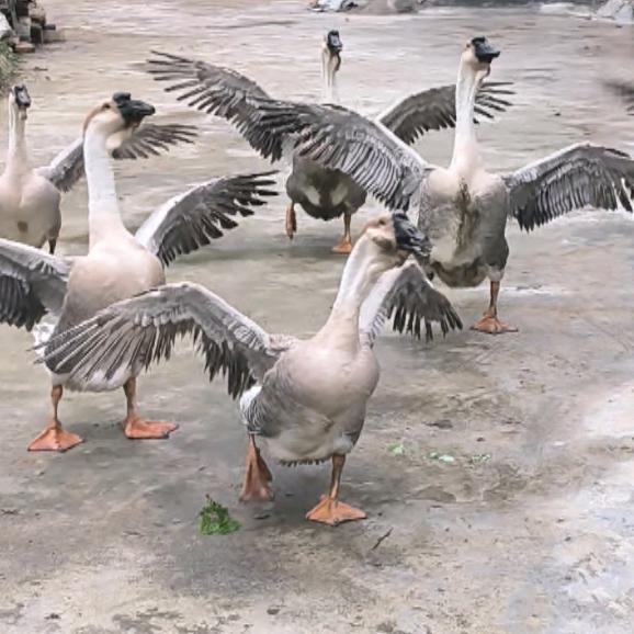 🍉🍉🍉时光无限好