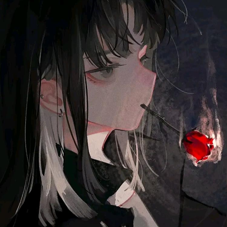 华宝宝