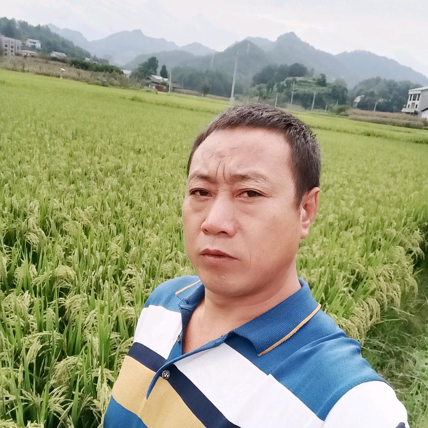 A沉默