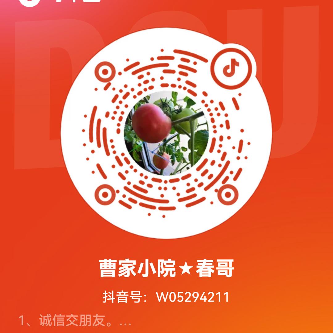 曹家小院★春哥