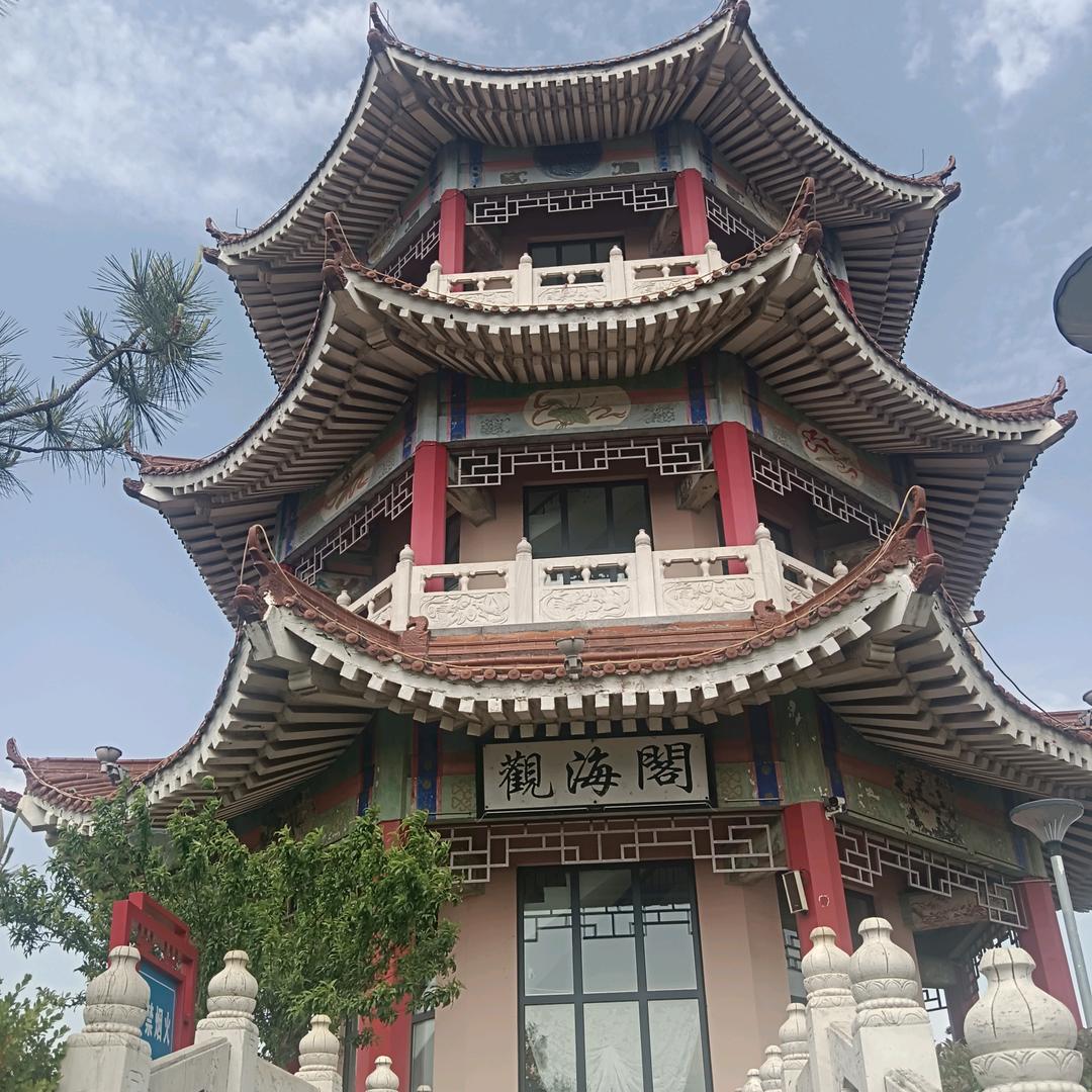 毛毛虫🐛🐛🐛