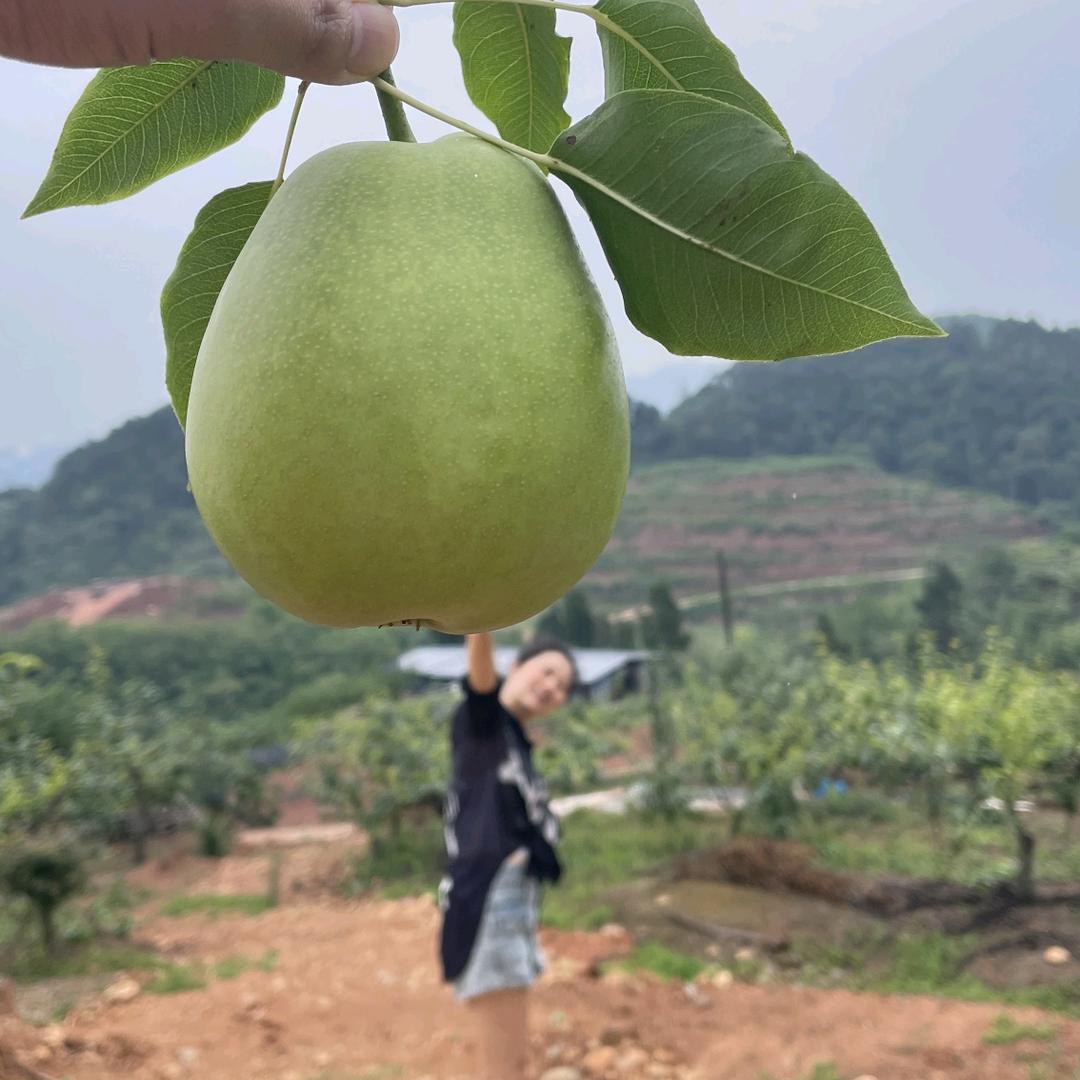 堰窝田农家乐欢迎你