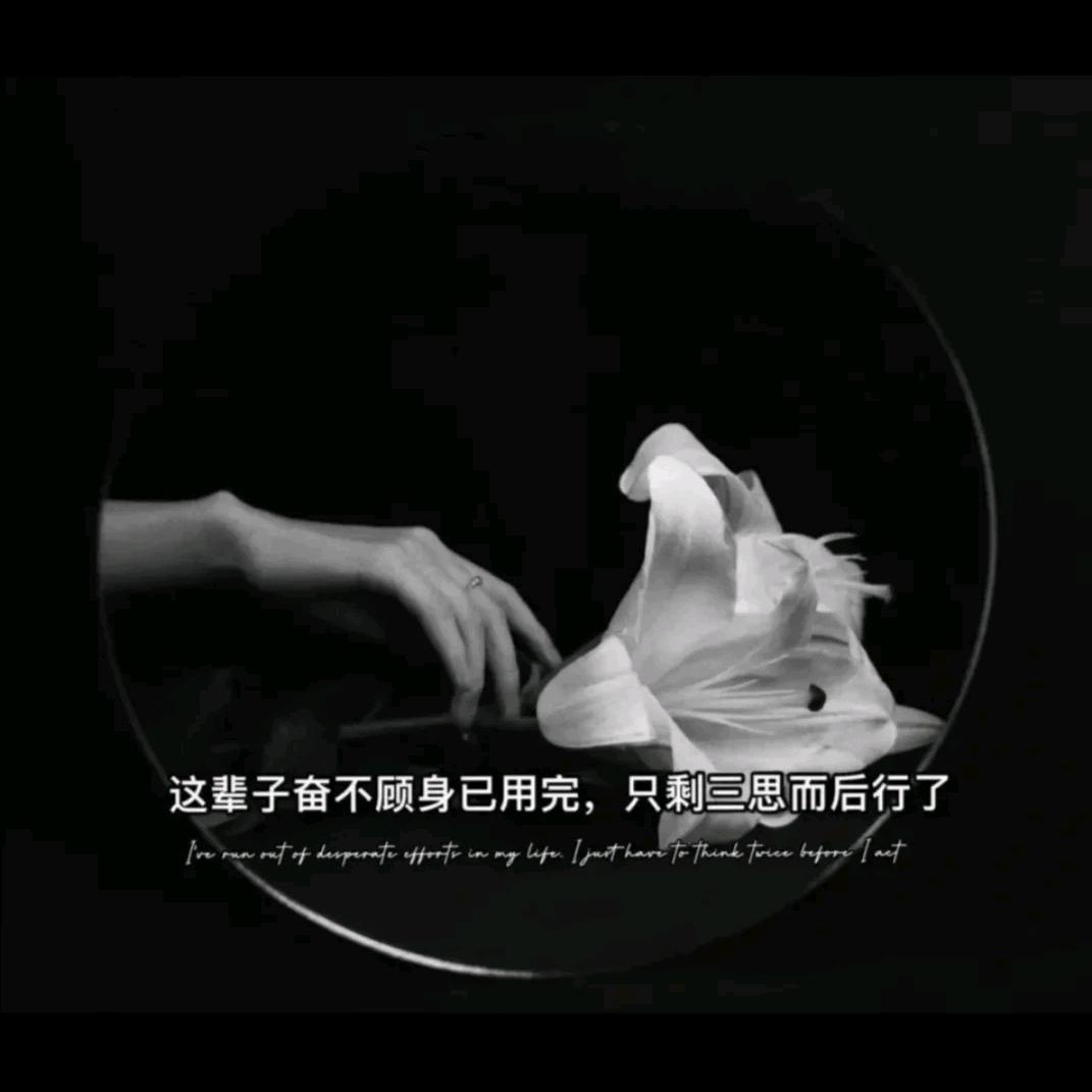 不思进取