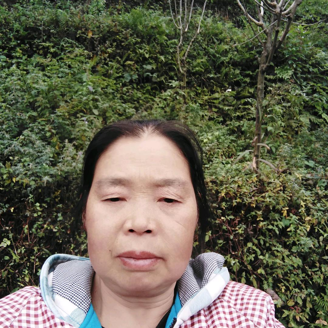 王永兰