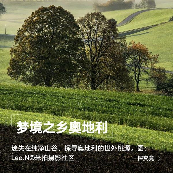 秋风吹起