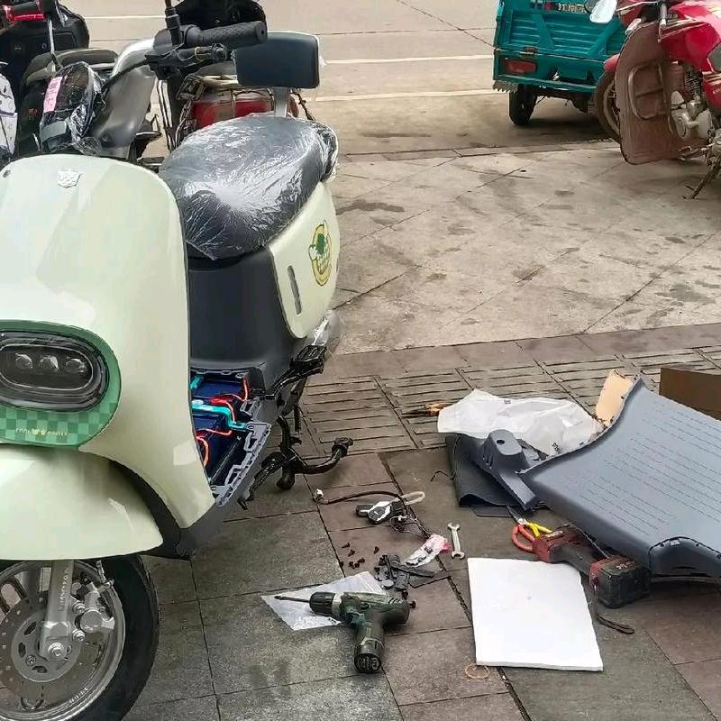 又鸟吃了虫
