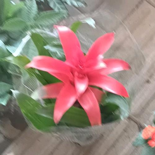 🐒佛心随缘🌹🌹