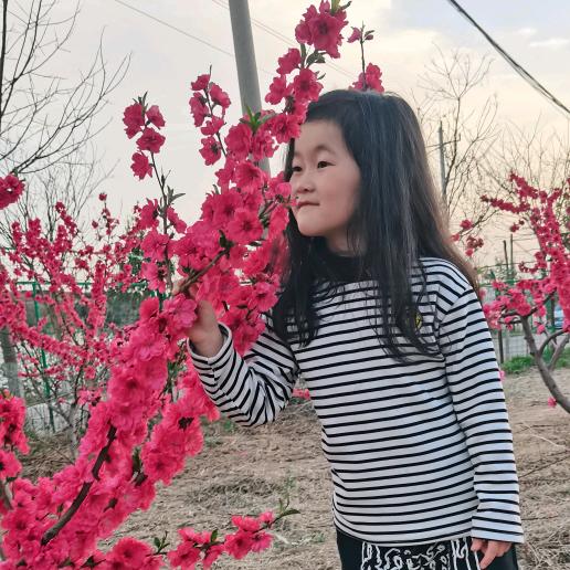 🎈岁月如歌🎈
