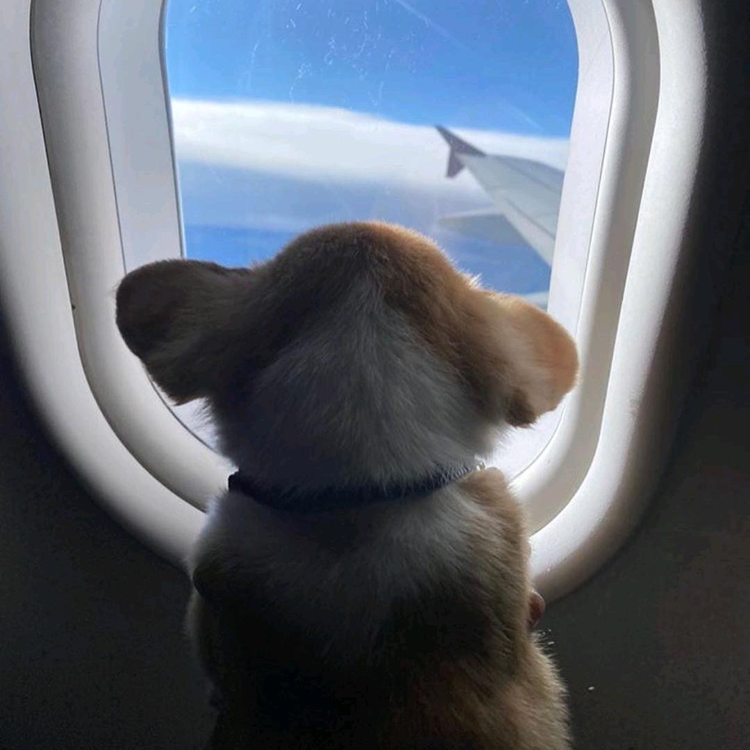 Waiting