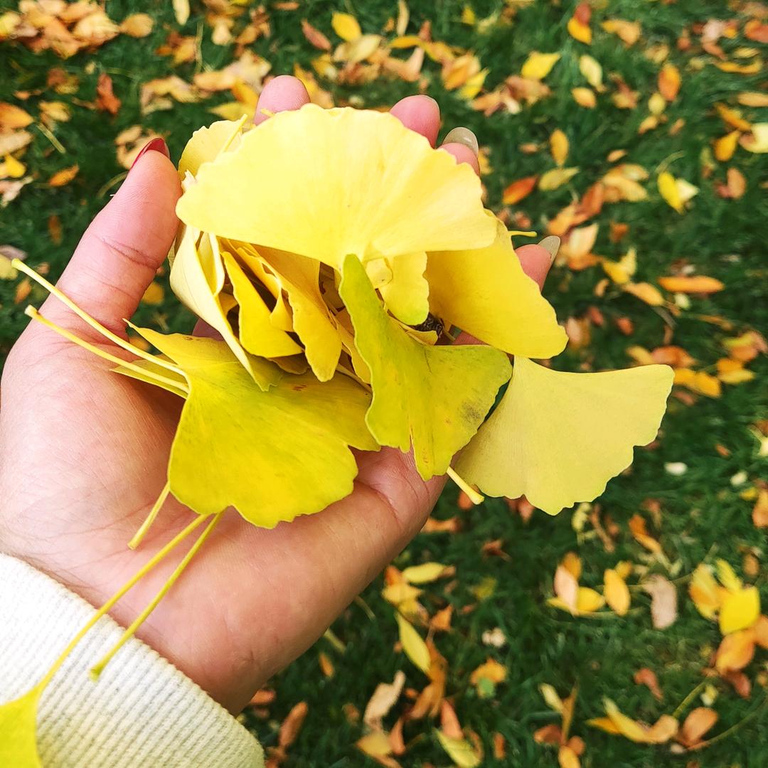 恬恬爱吃糖~有关必回