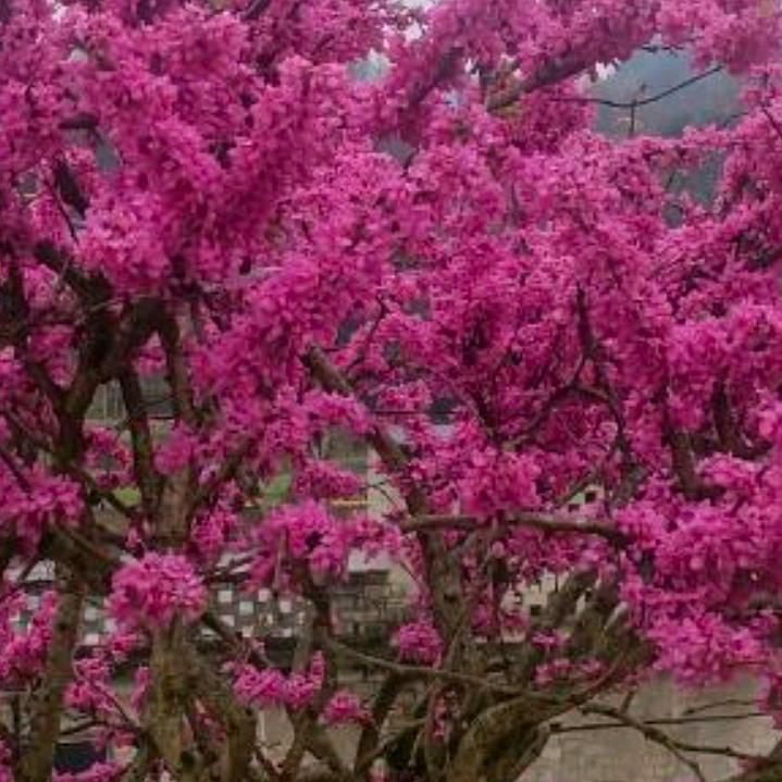 一生幸福