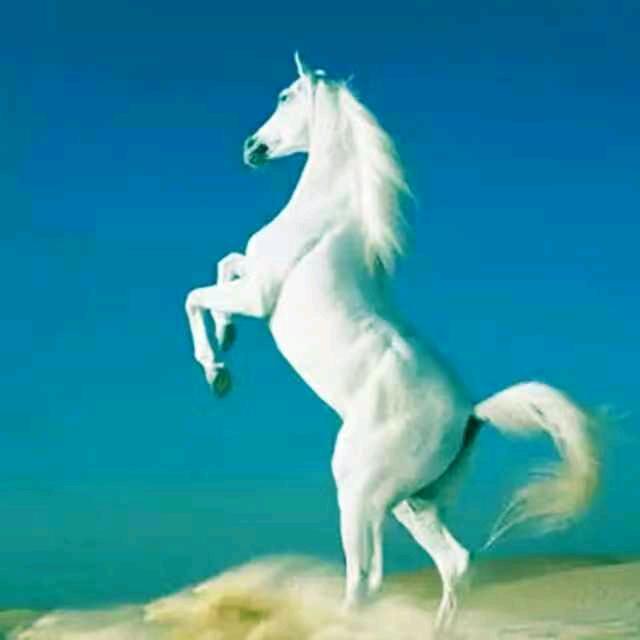 kkmm335678