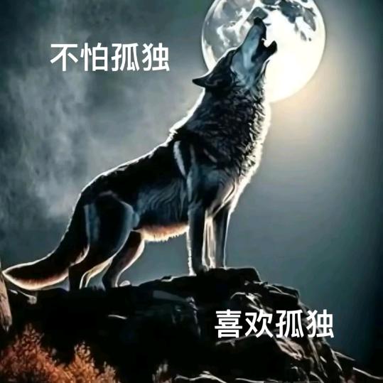 嘻嘻小狸花🍊