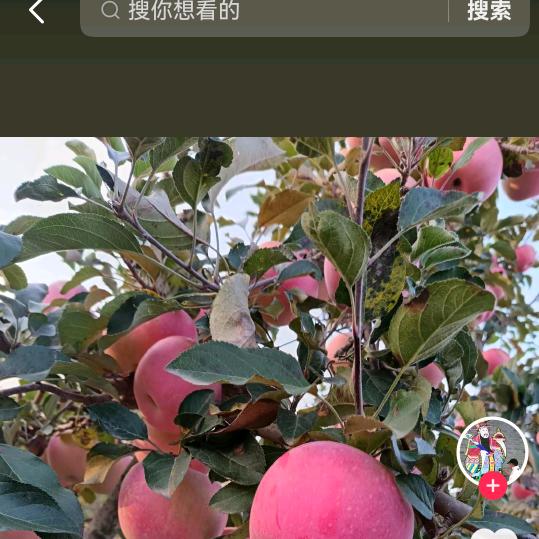 诚实的人