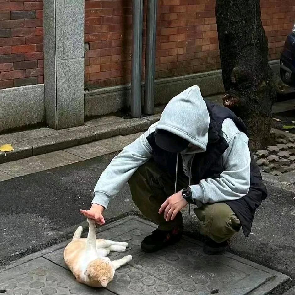 懒球😶