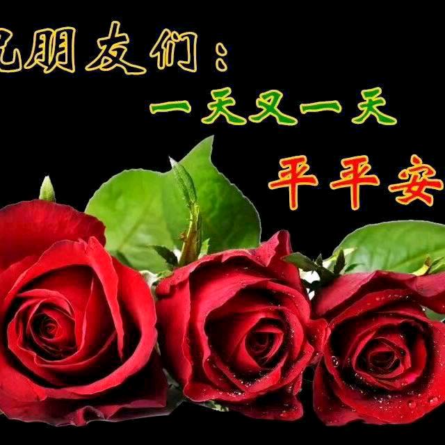 樊姐