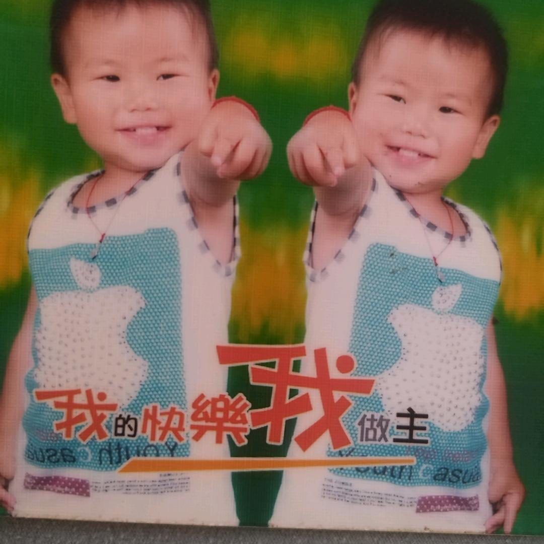 竹风雅梦