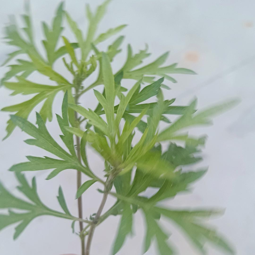 工作顺利