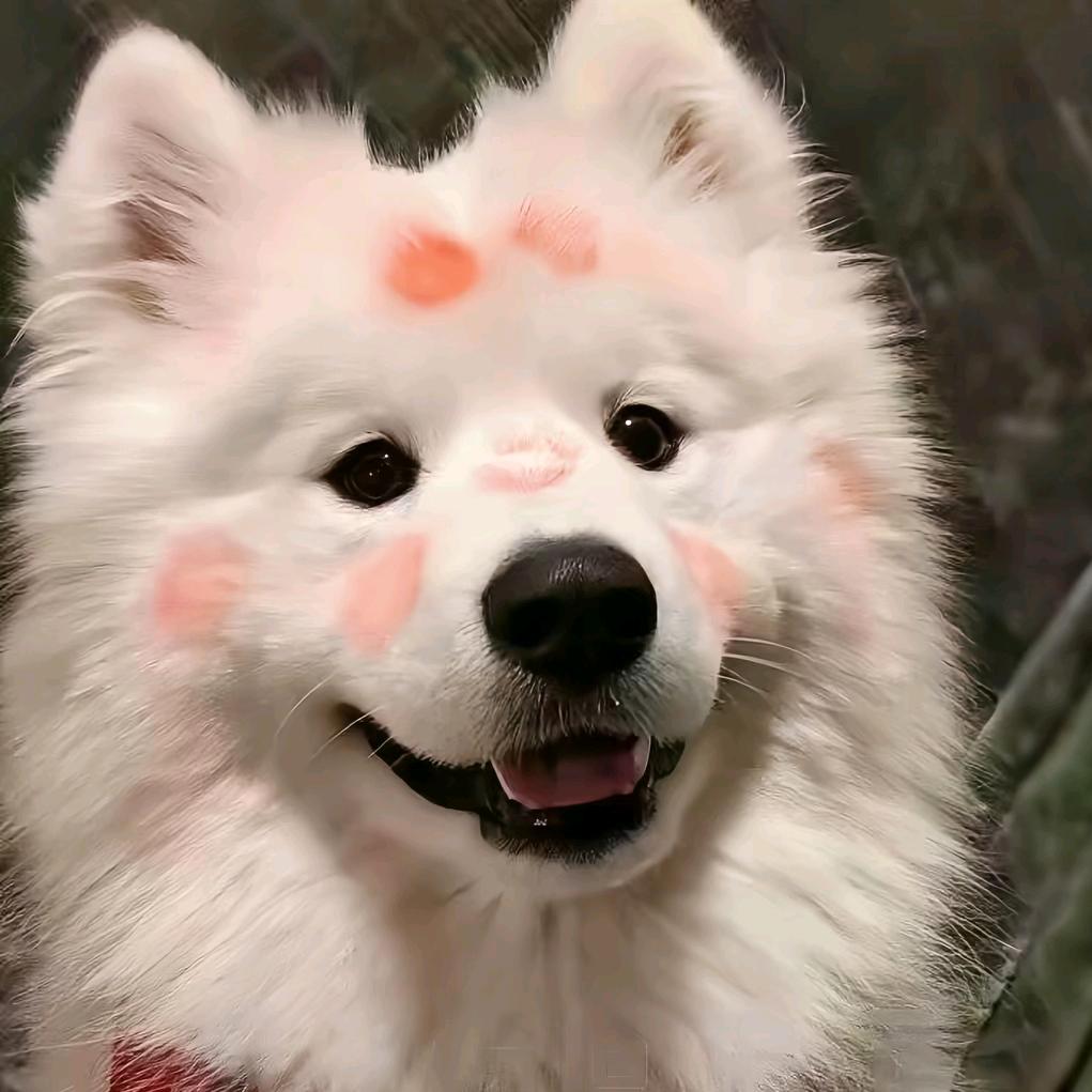 🉑乐拌🍚