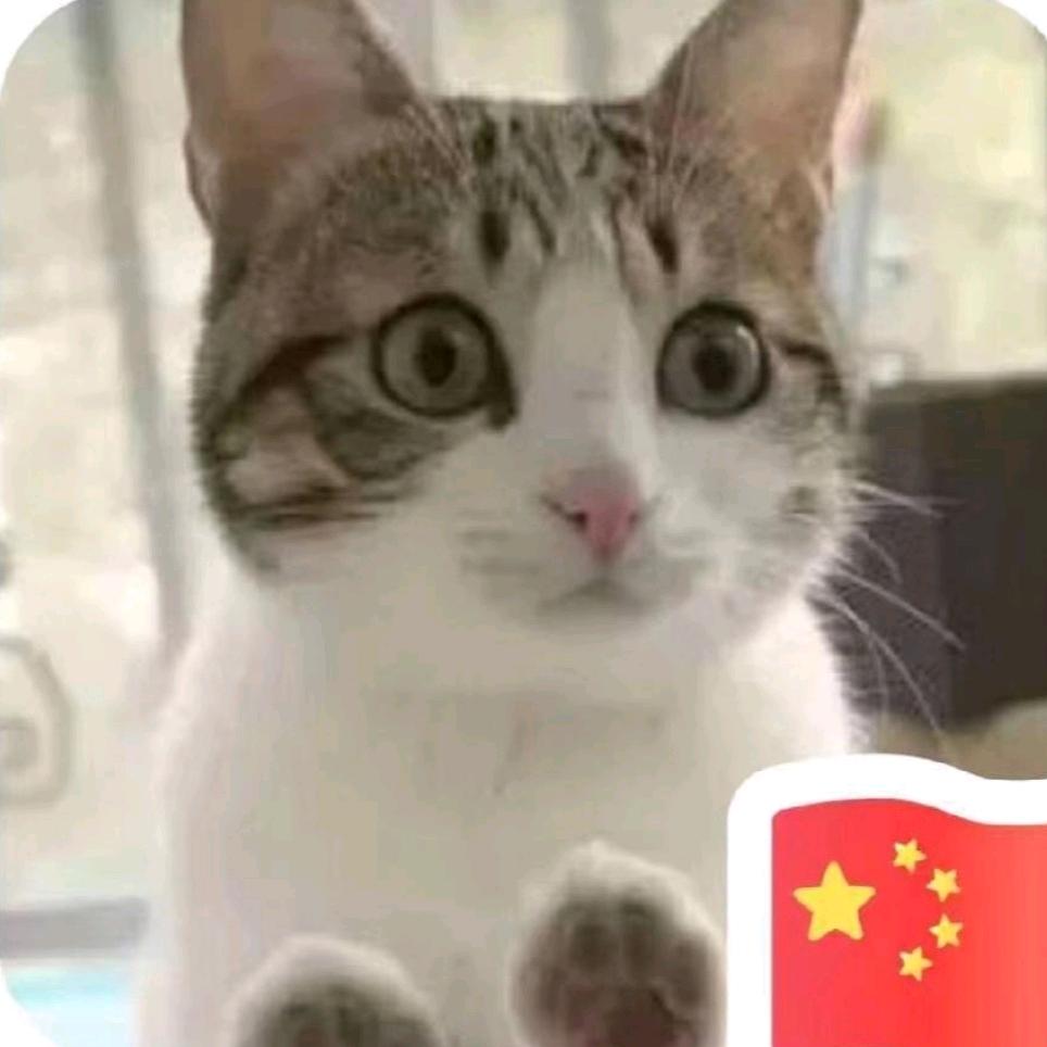 守护天使（管家婆）